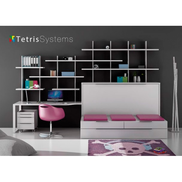 Bedroom with fold-down bed and sofa