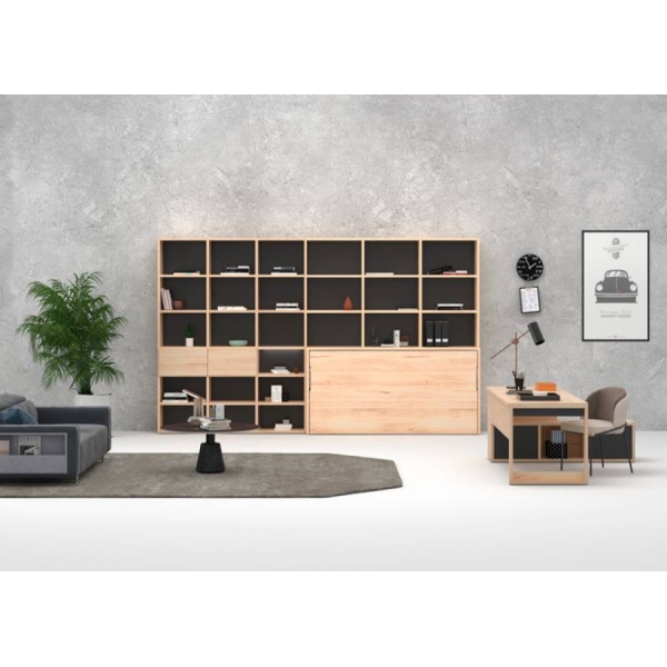 Office with bookcase and integrated folding bed