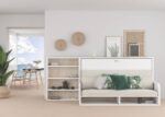 Murphy bed with sofa and bookcase