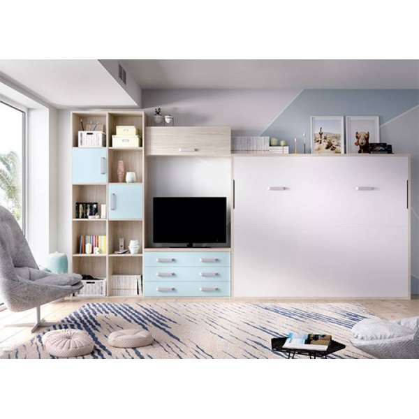 Living room with a horizontal folding double bed and bookcases