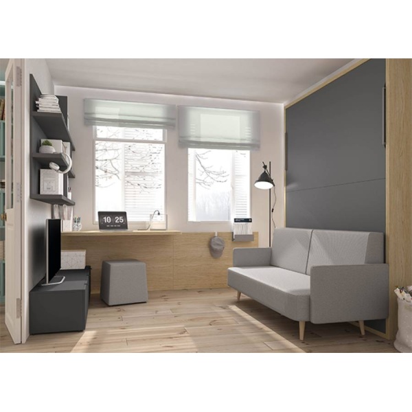 Bedroom with vertical folding bed and sofa.