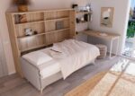 Studio with Murphy bed, sofa and desk