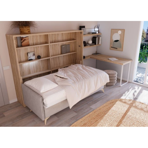 Studio with Murphy bed, sofa and desk