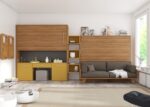 Living room with a folding double bed with a sofa and a loft bed