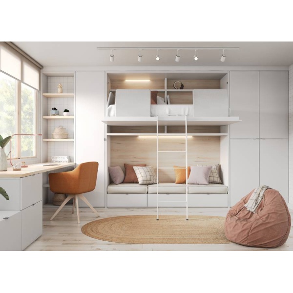 Family room/guest room