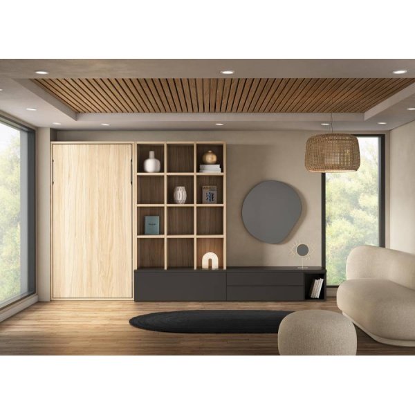 Folding bed with TV table and bookcase