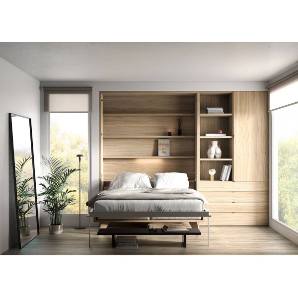 Living room with double vertical folding bed and bookcase