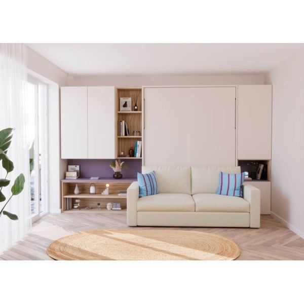 Living room with a folding double bed and sofa