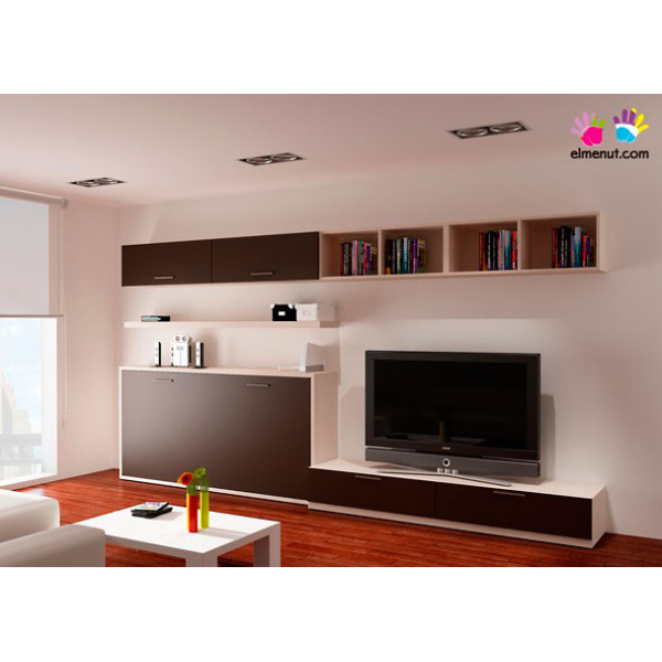 Living room with exclusive horizontal folding bed