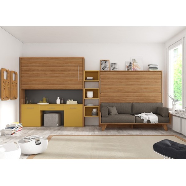 Living room with a folding double bed with a sofa and a loft bed