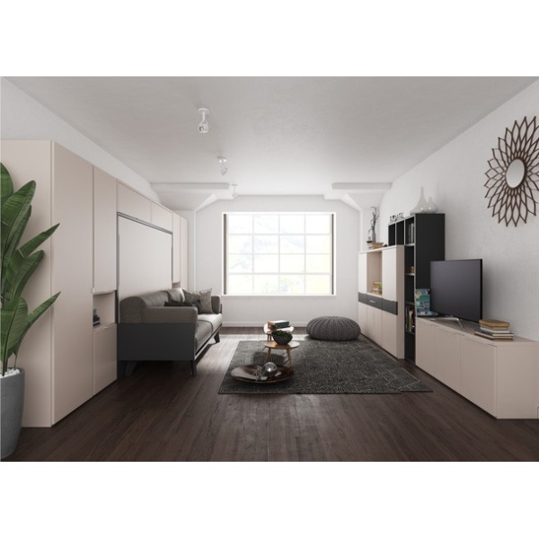 Living room with horizontal folding bed and sofa