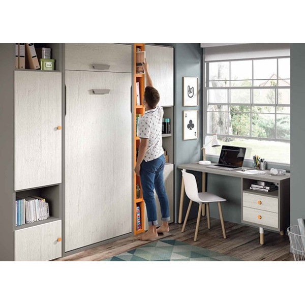 Vertical folding bed with loft and study area.
