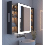 ALBA Mirror with Moving Back Storage - Image 8