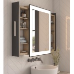 ALBA Mirror with Moving Back Storage - Image 9