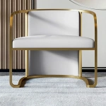 Louis Modern Metal chair and leather - Image 5