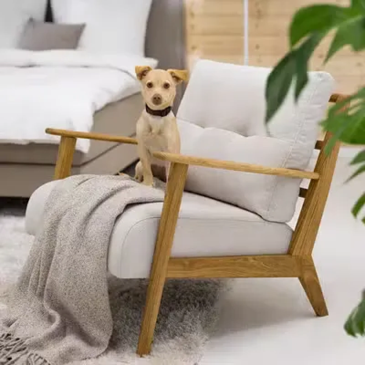 Casilio Natural wood chair - Image 6
