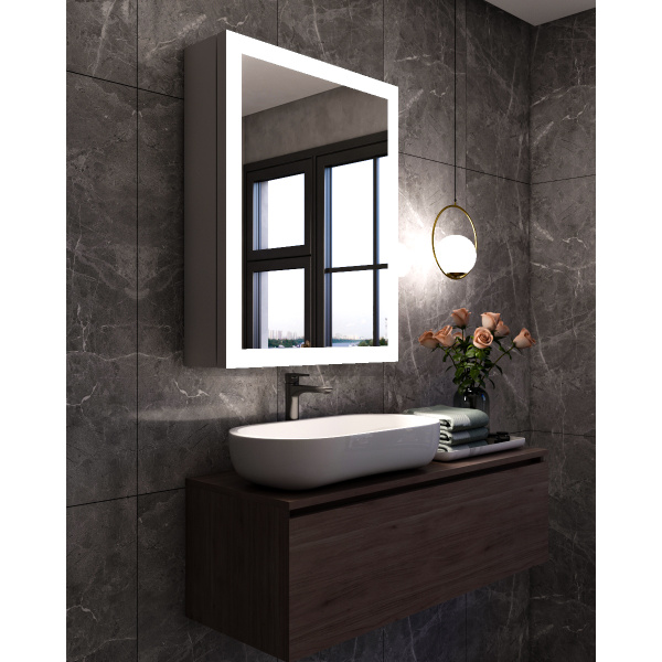 Perai led mirror with storage unit and multi-use