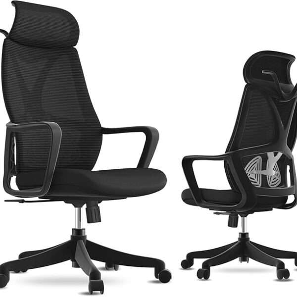 Office Chair, Ergonomic Computer Chair with Headrest, Adjustable Executive Chairs with Lumbar Support, Mesh Chair (Black Headrest)