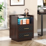 Nightstand, 2 Drawers Beside Table with LED Lights and Shelves - Image 5
