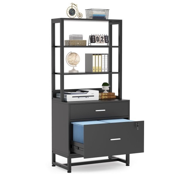 File Cabinet, 2 Drawer Vertical Filing Cabinet with Lock & Bookshelf