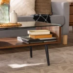 Razza Glass and Wood Coffee Table - Image 4