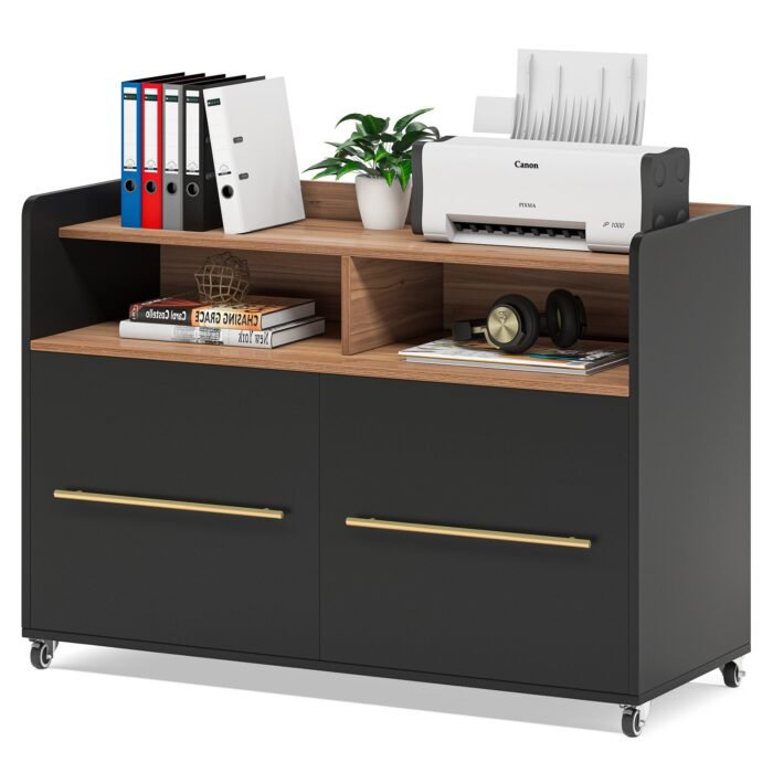 File Cabinet, 2 Drawer Rolling Lateral Filling Cabinet Printer Stand - Image 1