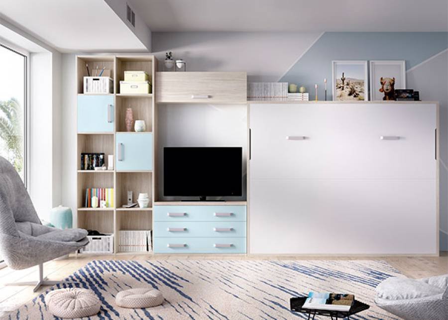 8107-salon-con-cama-abatible-horizontal-de-matrimonio-y-librerias.jpg Living room with a horizontal folding double bed and bookcases - Image 1